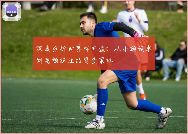 深度分析世界杯开盘：从小额试水到高额投注的资金策略