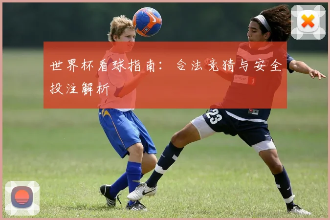 世界杯看球指南：合法竞猜与安全投注解析