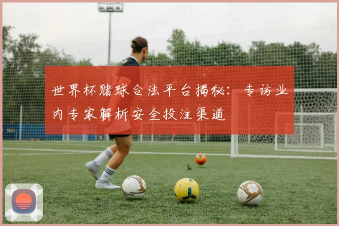 世界杯赌球合法平台揭秘:专访业内专家解析安全投注渠道