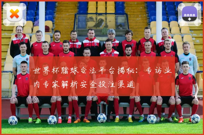 世界杯赌球合法平台揭秘:专访业内专家解析安全投注渠道